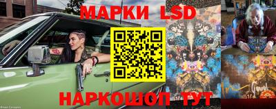 эйфоретик Будённовск
