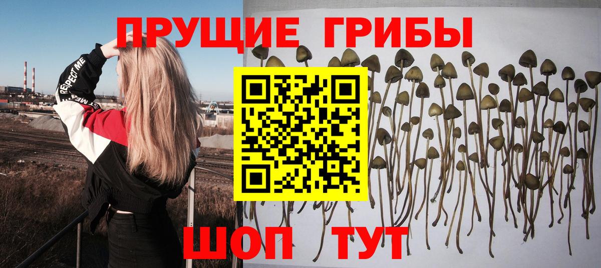 Галлюциногенные грибы ЛСД Пыть-Ях